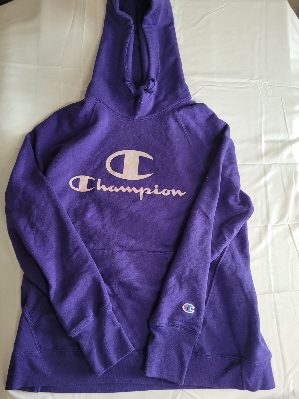 Champion Purple Hooded Sweatshirt with Logo